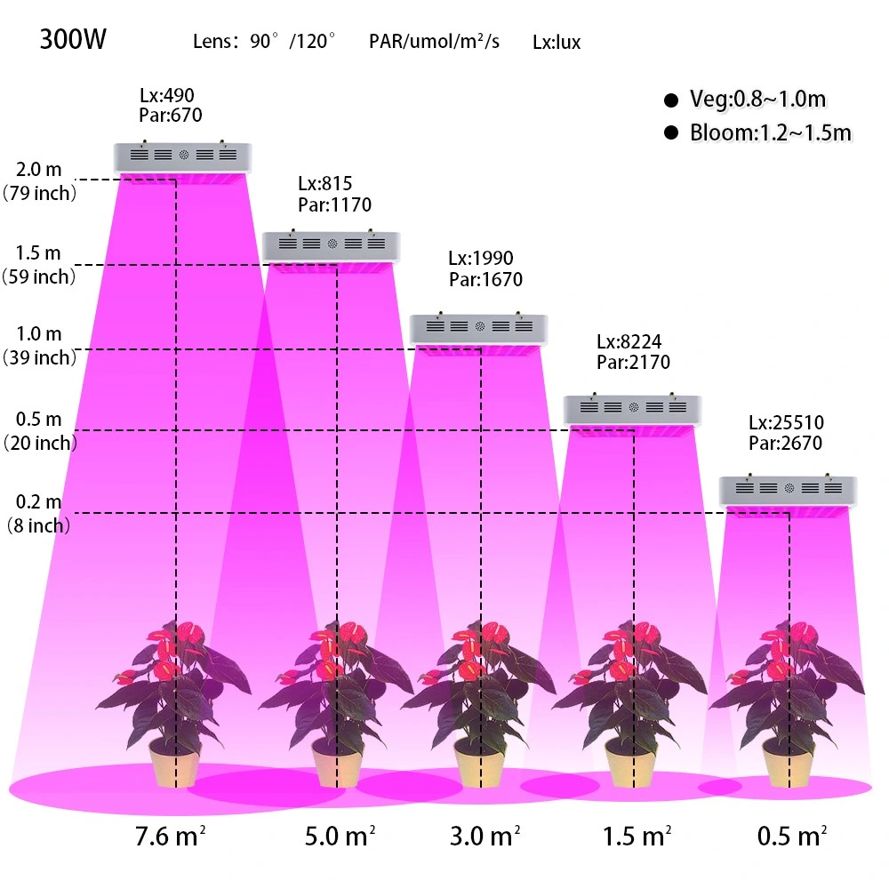 300W 600W 800W Full Spectrum LED Grow Light for Indoor Plants