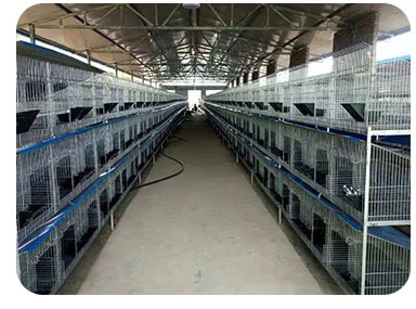 Cheap Price Outdoor Galvanized Welded Metal Easy Clean Rabbit Cage For Sale