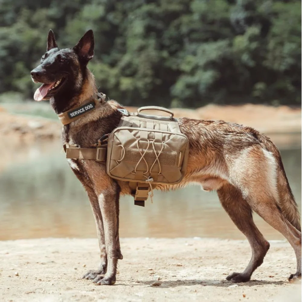 Dog with a Backpack Dog Saddle Bag Backpack for Travel Camping Hiking