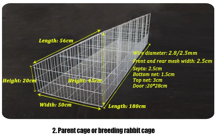 Commercial Outdoor Galvanized Wired Mesh Rabbit Breeding Cages For Philippine