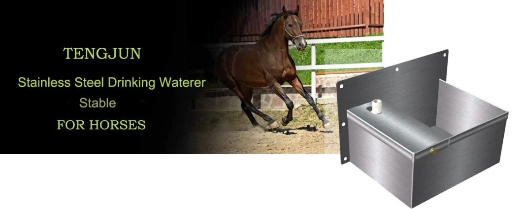 Dimension 33*24*22cm Brushed Surface Treatment SS304 Large Water Flow Rate Drinking Waterer for Horse