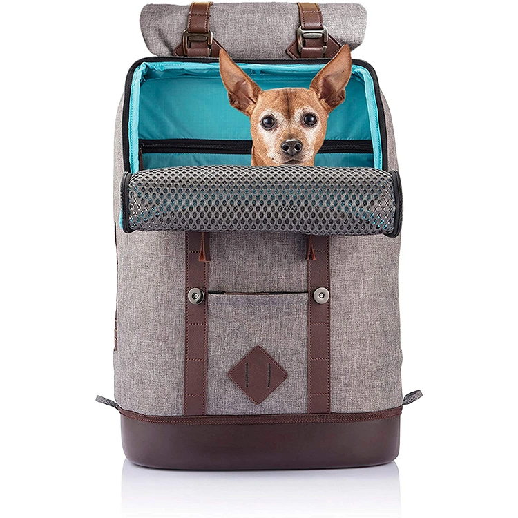 Airline Approved Travel Outdoor Pet Cat Carrier Backpack Waterproof Luxury Backpack Dog