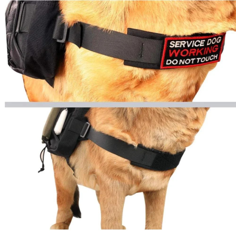 Dog with a Backpack Dog Saddle Bag Backpack for Travel Camping Hiking