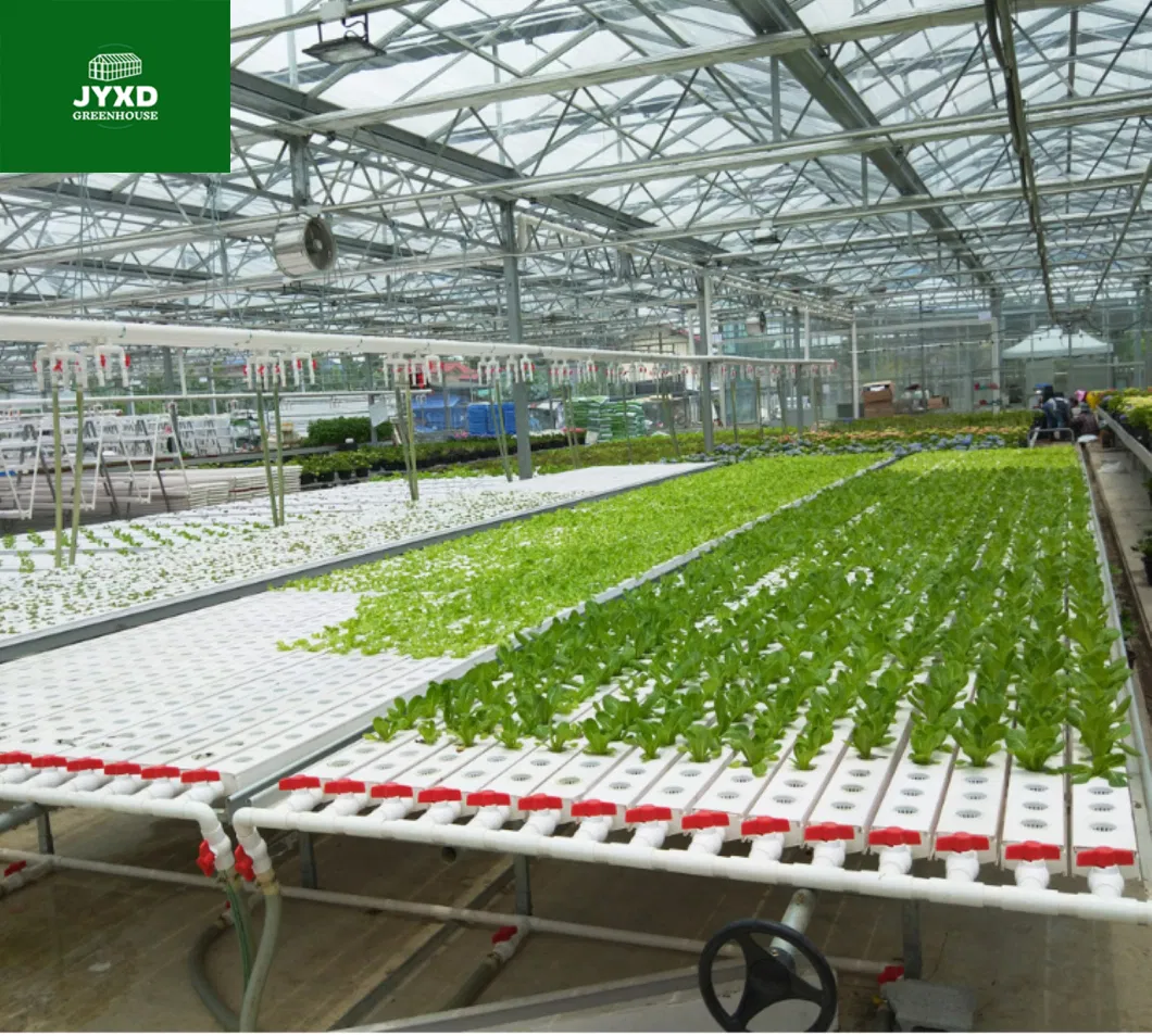 Commercial PVC Hydroponic Greenhouse with Grow Systems