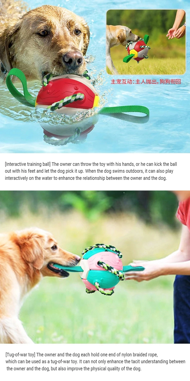 Wholesale Pet Supplies Tool Funny Tough Chew Teeth Cleaning Outdoor Dog Ball Squeaky Puzzle Pet Toy