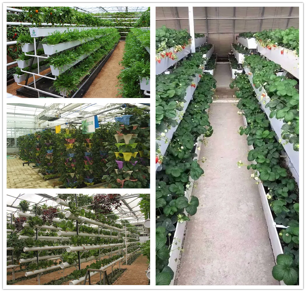 Greenhouse Indoor Use Vertical Mft Dwc Commercial Hydroponics Growing System