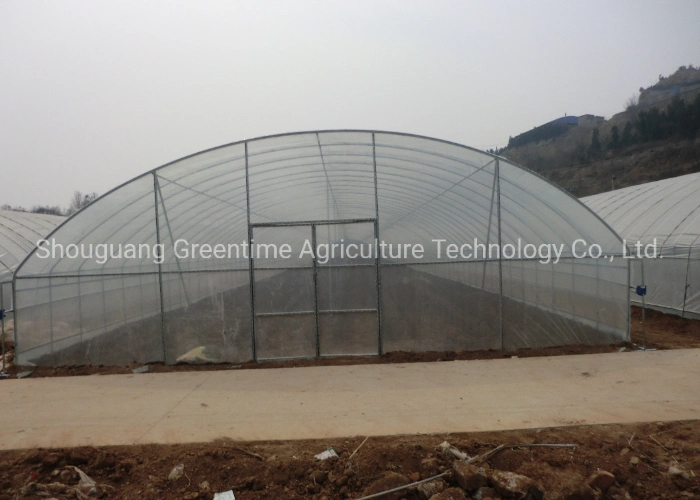 Agricultural/Commercial Single Span/Cheap Tunnel/Gothic Plastic Film Hydroponic Greenhouse for Tomatoes Lettuce Cucumber