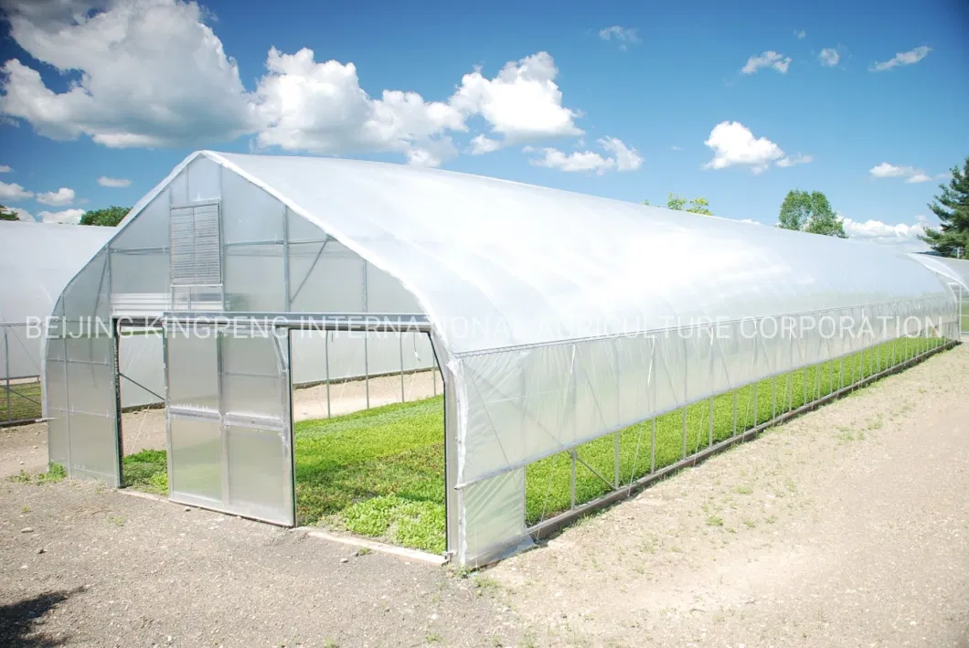 PVC/PE/Po Film Greenhouse for Hydroponics Tunnel