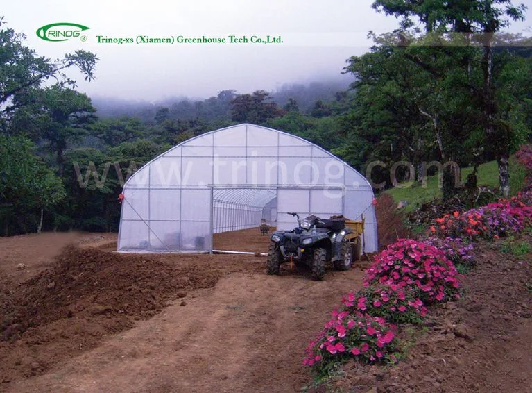 Low cost plastic film covered hydroponics indoor greenhouses for sale