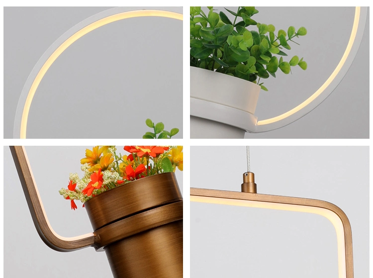 Morden Designer Pot Culture Flowers Plants 15W Hanging Indoor LED Pendant Light