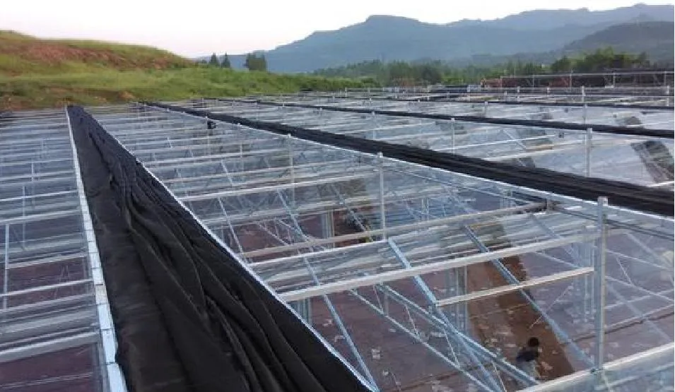Multi-Span Greenhouse with Irrigation Hydroponic System for Strawberry/Vegetables/Flowers/Tomato/Pepper