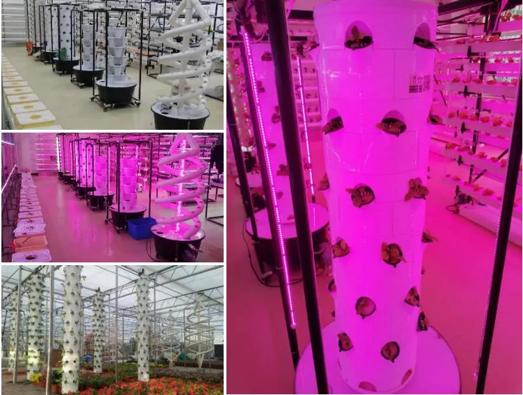 2022 Hot Sale Nft Hydroponic Growing Systems Home Vertical Garden Tower with LED Grow Light