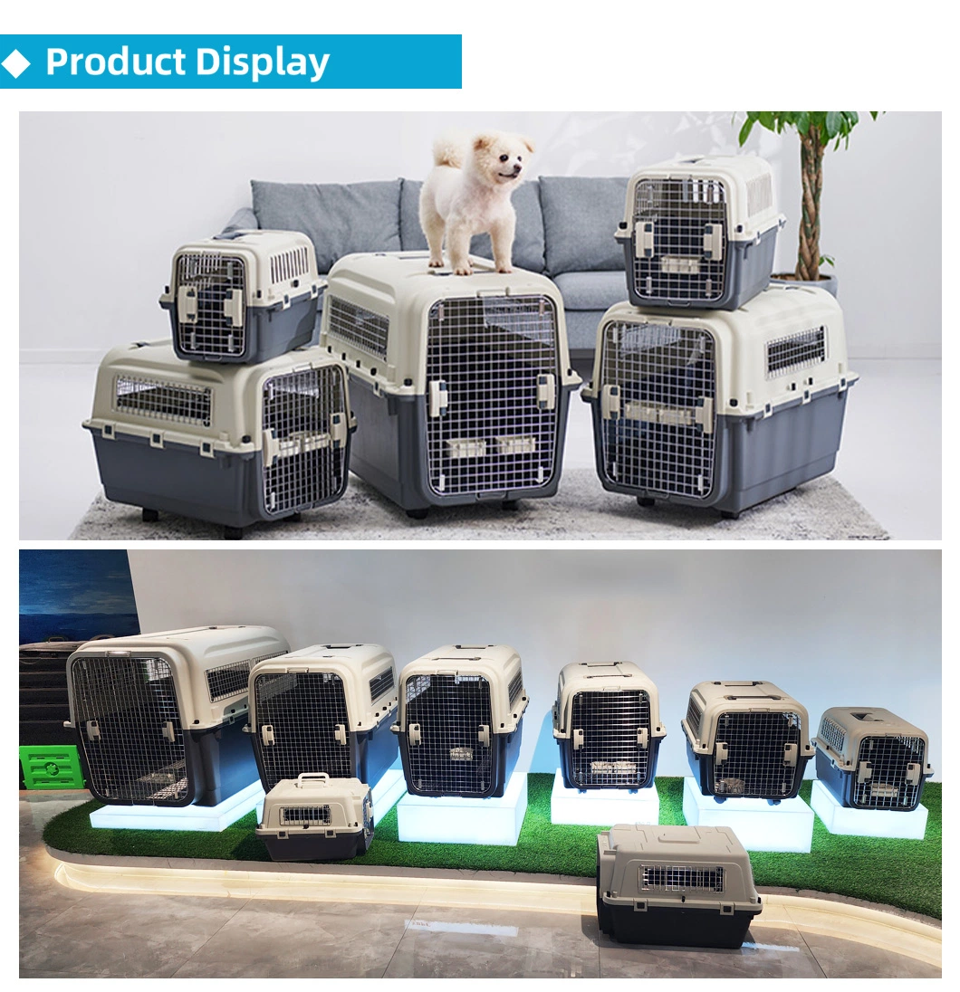 Breathable Pet Outdoor Cat and Dog Portable Air Box Airline Pet Transport Box Rabbit Cage Pet Traditional Kennel