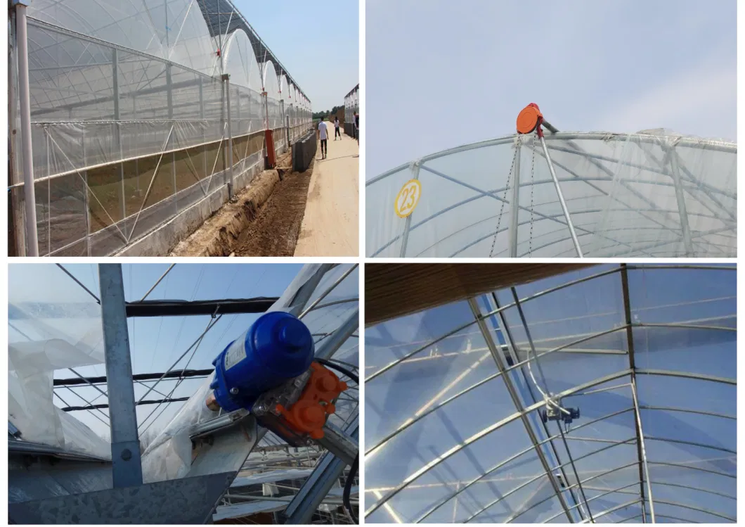 10000m2 Agricultural/Commercial /Multi- Span Film/Po/PE/Plastic Green House for Tomatoes/Cucumber/Peppers/Strawberry with Hydroponic System/Drip Irrigation