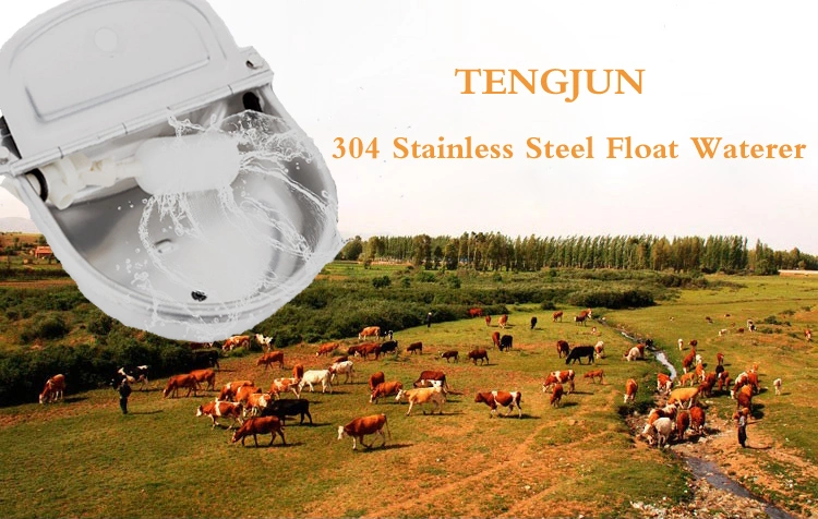 Save More Than 30% Water and Do Not Pollute Tank Drinking Bowl Stainless Steel Waterer Trough