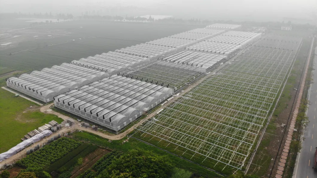 Agricultural/Commercial /Multi- Span Film/Po/PE/Plastic Green House for Tomatoes/Cucumber/Peppers/Strawberry with Hydroponic System/Drip Irrigation