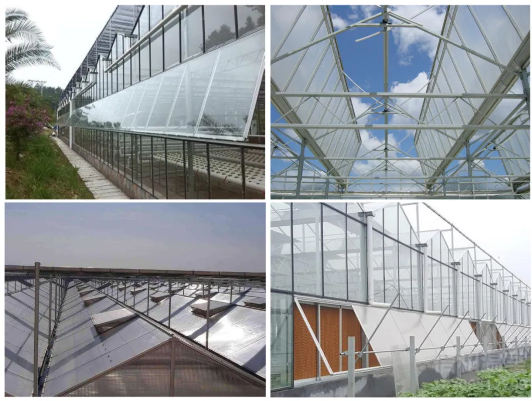 Venlo Type Single Layer Polycarbonate Greenhouse for Flower/Vegetable/Planting/Farm /Aquaculture/Livestock/Breeding/Ecological Restaurant with Hydroponic System