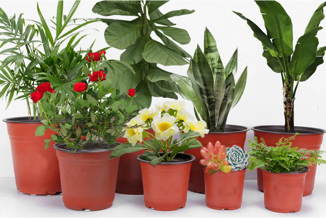 Plastic Toughness Nursery Pot Flowerpot Desktop Potted Plant Seedling Container Home Garden Greenhouse Cultivation Planter