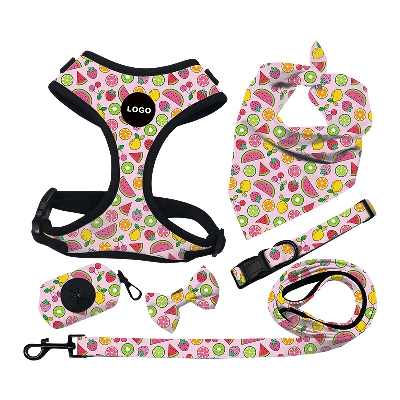 Customized OEM Pet Dog Harness Neoprene Padded Pet Dog Collar Harness Quick Release Multi-Size for Pet Dog