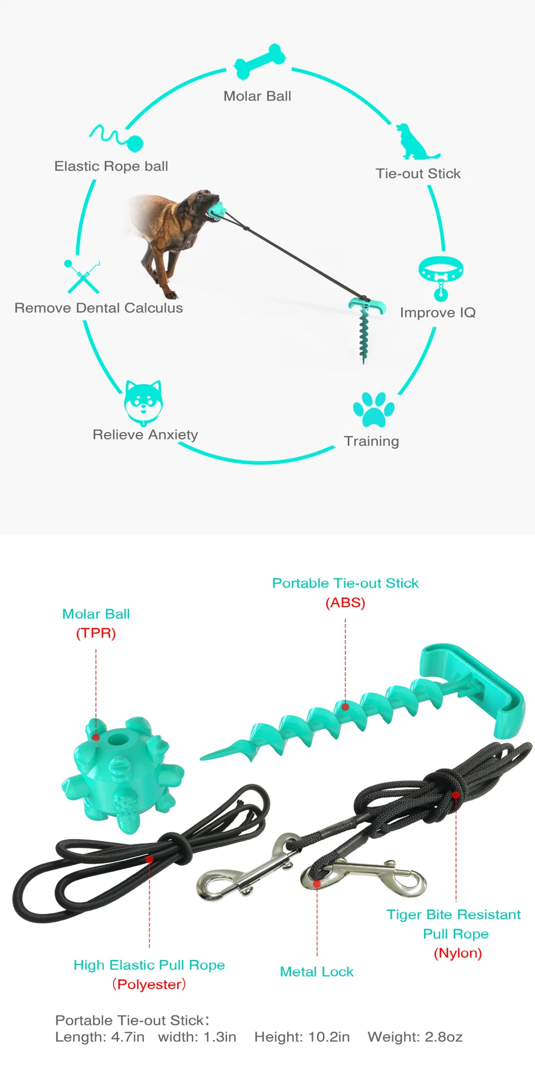 Voovpet Pet Outdoor Tie Dog Ground Pile Ground Nail Tie Dog Leash Walking Toy Dog Rope Ball Pull Toy.