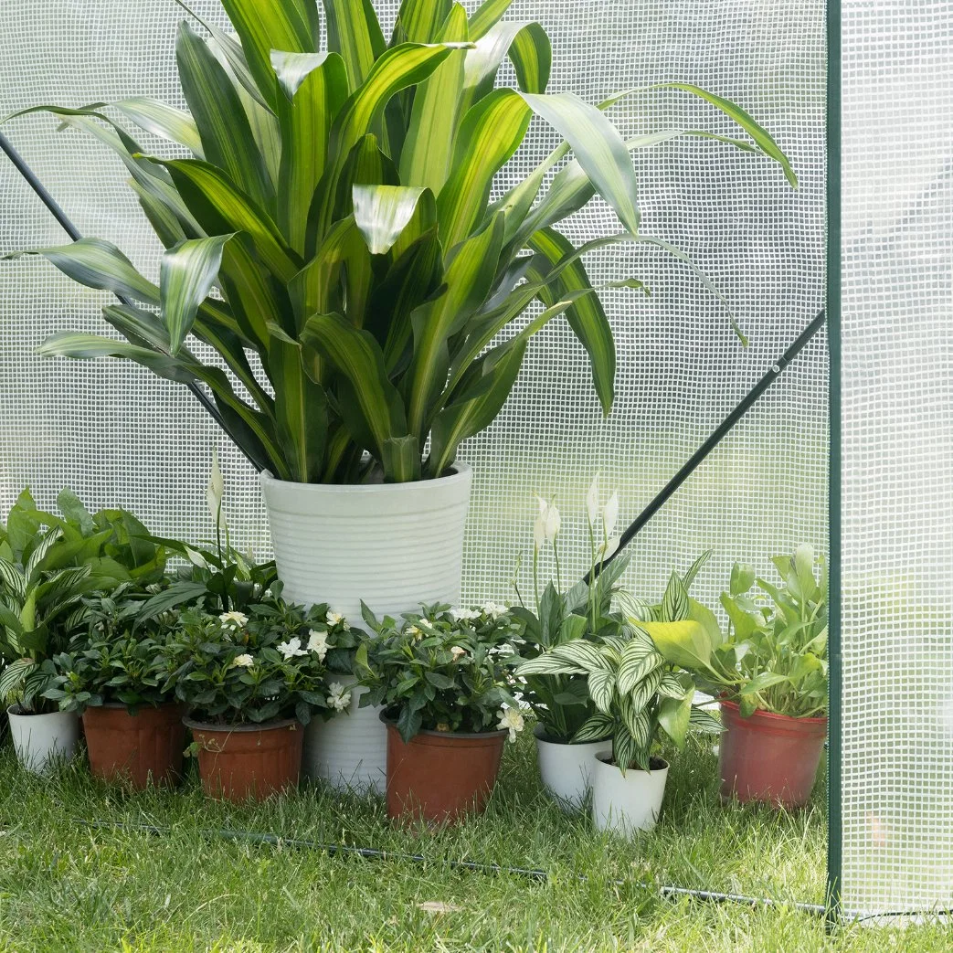 Outdoor Greenhouses Protect Plants From Water and Sun Garden Mini Greenhouse