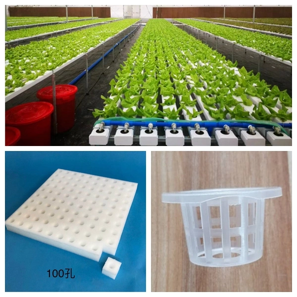 Cheap Vertical Farming Hydroponic Channel System and Nft Growing Systems for Greenhouse Hydroponics Equipment