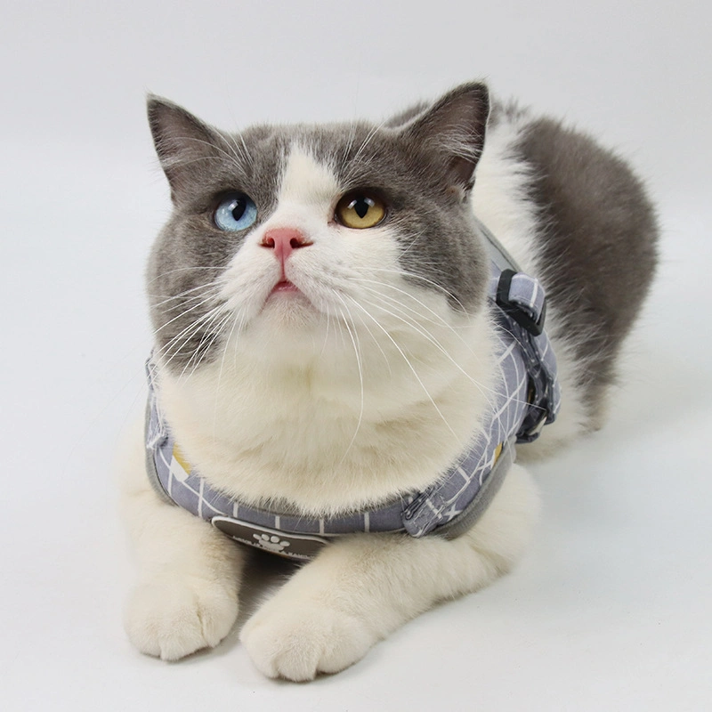 Nylon Mesh Kitten Pet Accessories Cat Harness Products Dog Leash