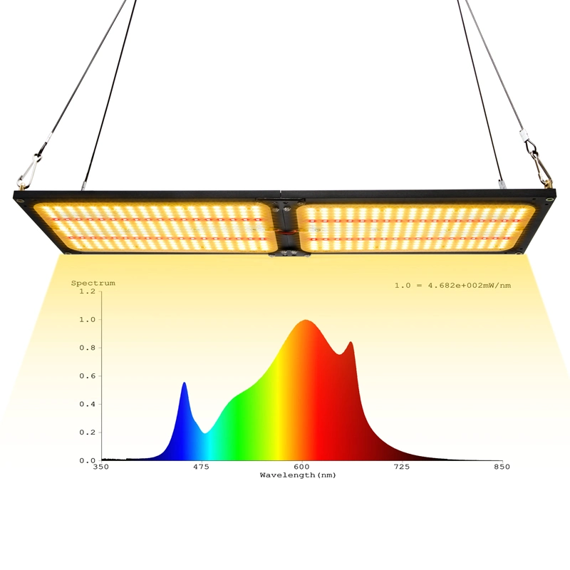 Full Spectrum 240W LED Grow Light for Green House Plants