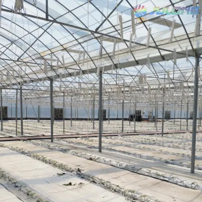  Control inteligente de la película de plástico de varios suministros de gases de efecto invernadero Span