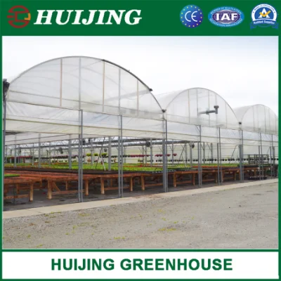 Sistemas de Cultivo hidropónico completa suministros de efecto invernadero