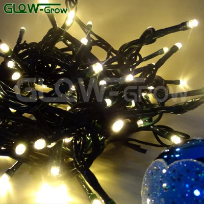  Cable de PVC blanco cálido LED impermeable al aire libre Mini cuento de la luz de la cadena de cortina de ventana de inicio de la Boda Fiesta de Navidad Árbol de Navidad el Ramadán Palmera Decoración
