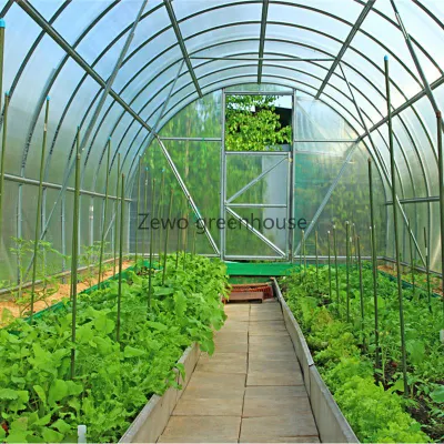  Casa Agrícola de bajo costo Mini Jardín túnel invernadero cubierto con PVC para almacén/Flor/Casa prefabricada