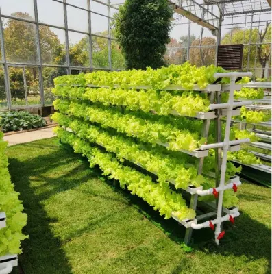  Sistema Hidropónico vertical NFT para el crecimiento hidropónico en interiores