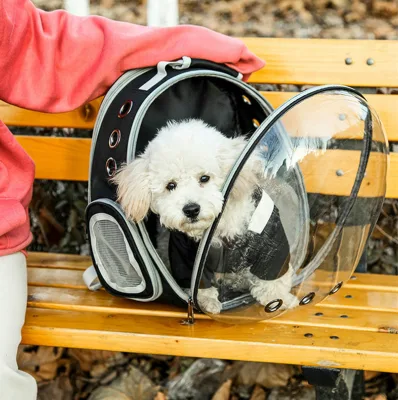 Mochila transportadora de gatos con cápsula espacial expandible para viajes al aire libre Wbb18618.
