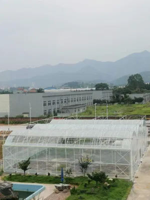 Agrícola Venlo Tipo de vidrio Green House con sistema hidropónico para Verduras
