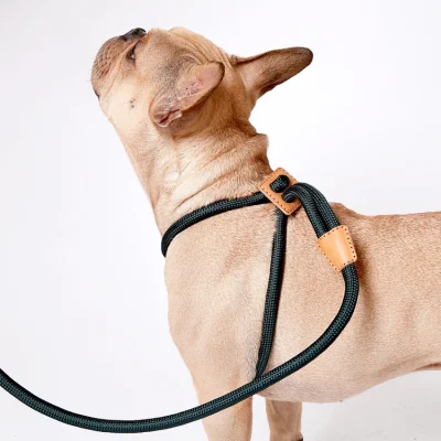 Nueva llegada perro arnés y correa de la cadena P Cuerda Arnés de deslizamiento de la Correa para perros perro de trabajo de Ray Cuerda Arnés de la correa del perro de la cuerda de escalada suave correa