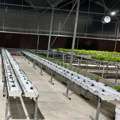  Hidropnics verticales Jardín interior Hydropnics Gutter NFT Growing System