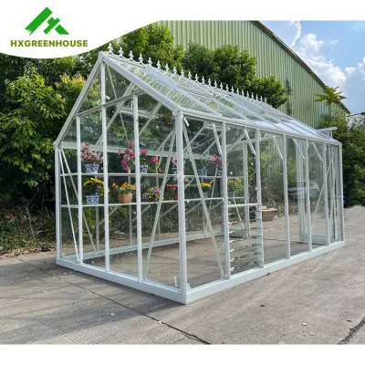 Invernadero de jardín de vidrio comercial victoriano de aluminio con marco de metal para exteriores, usado en venta.