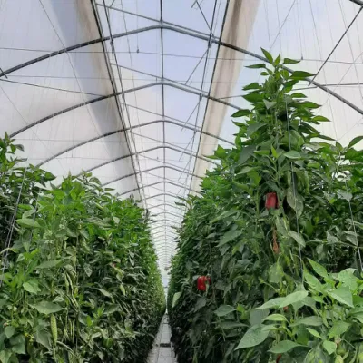  Los sistemas de cultivo indoor Verticle Hogar Inteligente Hidroponía Granja Vertical sistema hidropónico