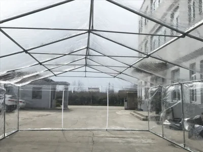 6X12m PVC transparente Partido de Cine evento Tent transparente de Cine invernadero