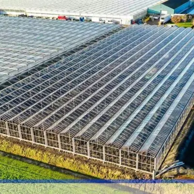 Invernadero de vidrio con pulverizador autopropulsado y banco rodante para Plantas de plantas de plantas vegetales/flores