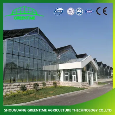 Cheap Multi-Span/span único túnel de plástico Cristal comercial la granja de policarbonato de efecto invernadero de la agricultura con semillero para el tomate hidropónico fresa
