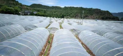  Invernadero de vidrio, invernadero inteligente, cobertizo de flores, Galvanizado de verduras, Sunshine Linkage Greenhouse suministro del fabricante
