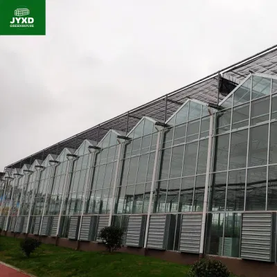  Patio trasero Sunrooms Green Houses Kit Jardín Comercial Casas de vidrio Marco Invernaderos agrícolas suministros invernadero