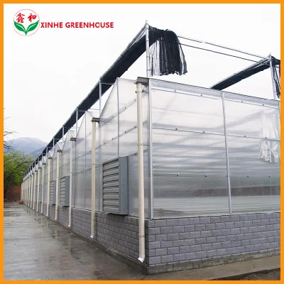Granja Comercial/Polietileno Hoja de Arbonato Casa Verde para Verduras/Jardín/Frutas Tomate/pepino/Lechuga/Pimienta/Pimienta/setas/Cerezo/Tomate