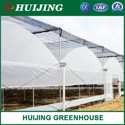 Sistemas de Cultivo hidropónico completa suministros de efecto invernadero