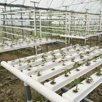  Los sistemas de hidroponía Vertical de la agricultura La agricultura Granja Canal hidropónico Nft