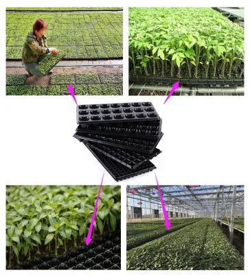 Vertical de la planta de interior hidropónicos los sistemas de cultivo