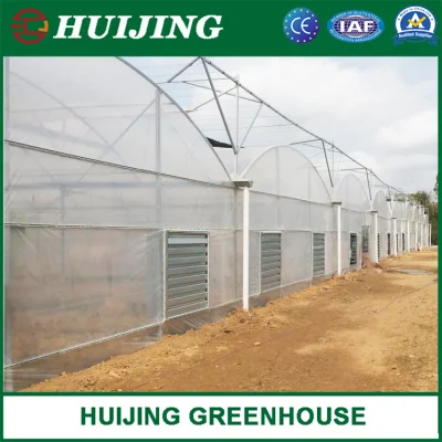 Sistemas de Cultivo hidropónico completa suministros de efecto invernadero