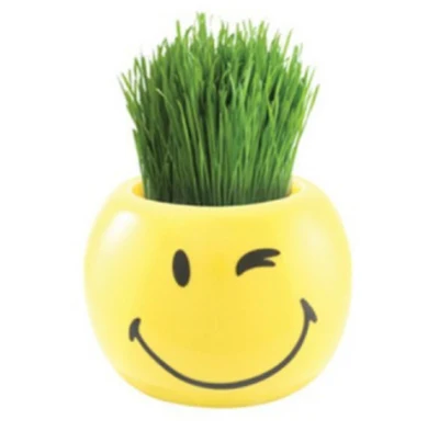 Fabricado con mini kit de planta OEM de hojalata